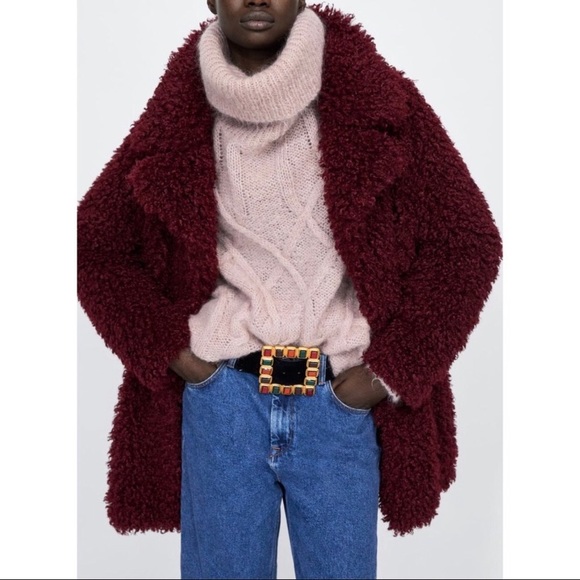 🎉HOST PICK🎉ZARA Soft Fur Coat - Picture 1 of 9